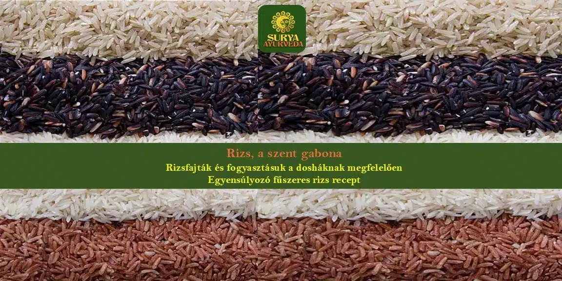 surya-ayurveda-blog-rice-basmati-brown-wild-rice-consumption