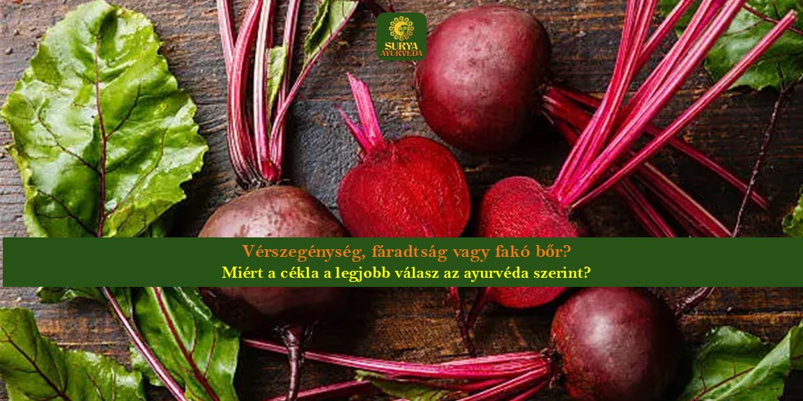 surya-ayurveda-a-cekla-ayurvedikus-ereje-Verkepzes-majtisztitas-termeszetesen