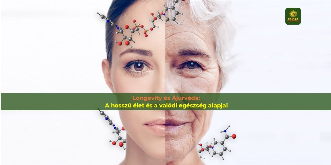 SA_BLOG_PICTURES_longevit